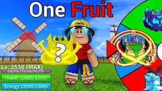 Blox Fruits Noob to Pro But I ONLY Get ONE Fruit