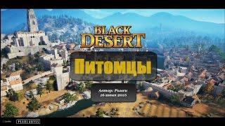 Питомцы в Black Desert