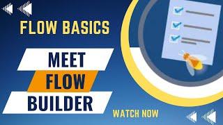 Salesforce Trailhead - Meet Flow Builder