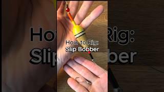 How to rig a slip bobber #fishing #howto #walleye #walleyefishing #crappie #panfish