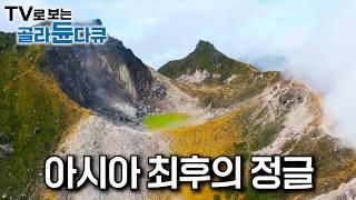 미지의 세계, 아직도 밝혀지지 않은 정글 속 거친 야생의 땅｜세계 3대 열대우림이라 불리는 아시아의 열대우림｜인도네시아, 캄보디아, 말레이시아의 정글｜세계테마기행｜#골라듄다큐