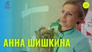 Онлайн школа Груминга | Lebedeva Group | 29