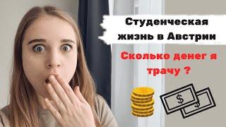 СКОЛЬКО CТОИТ ЖИЗНЬ В АВСТРИИ| МОИ РАСХОДЫ | Страховка, общежитие, учеба, транспорт | Dake.stories