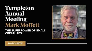 The Superpower of Small Creatures | Dr. Mark Moffett