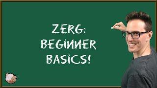 StarCraft 2 Coaching | Zerg: Beginner Basics!