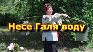 Несе Галя воду