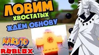  Ловим Хвостатых  Ждём Обнову  , Свитки  . Роблокс Стрим . Шиндо Стрим