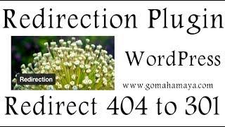 Redirection WordPress Plugin | Redirect visitor from 404 to 301