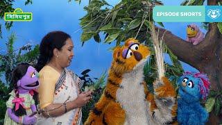 Sisimpur | পাখির বাসা বানানো | Building Bird's Nest | Educational video for children in Bangla