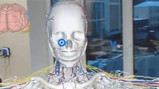 Anatomy in HoloLens