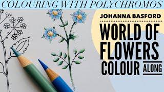 COLOURING in World of Flowers | Polychromos | #johannabasford