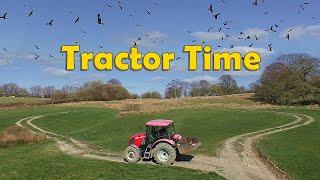 Red Kites at Gigrin Farm - Feeding The Red Kites from The Farm Tractor