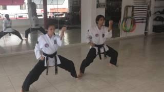 Artes Marciales Tatgun - Programa de Blanco - golpes y defensas