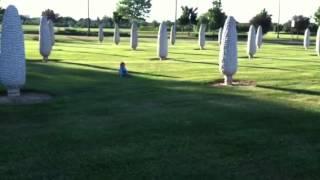 Jacob and Zella in the Field of corn in Dublin ohio