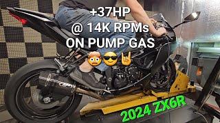 2024 ZX6R GAINS 37HP at the top end!