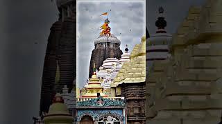 jagatare pai buni amiti thakura tia odia #shorts #odia #status #new #jagannath #jagannthtemple