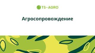 Агросопровождение. План по выращиванию растений в теплице