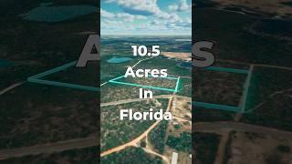 10.5 Acres of FLORIDA Land for Sale near Panama City Beach • LANDIO