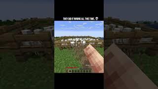 Flying With Chickens Actually Works 