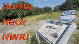 Driving On An World War 2 ARMY AIRFIELD! Harris Neck National Wildlife Refuge!