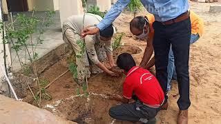 Nurture Nature - event highlights - Trees plantation drive initiated by Isola Rajasthan Chapter
