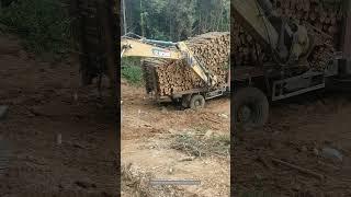 Process Of Transporting Timber In Mountainous Areas !