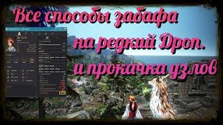 Black Desert / BD: Все способы забафа на редкий Дроп. и прокачка узлов