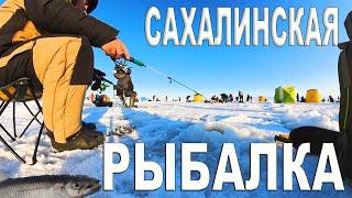 Зимняя Рыбалка на Сахалине / Ловим зубаря в море #рыбалка #fishing #fish #сахалин