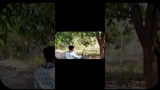 Raka Ki Damdaar Entry | #166 MDFV's Shorts #milinddasfilmvision #action #movieclips #bgmstatus