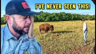 Something's Wrong in the Big Joe Herd, Heartbreak Hits!