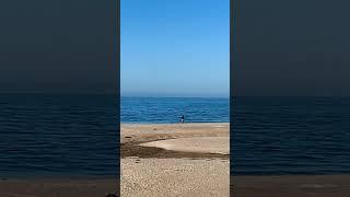 Walking on Sunshine | Katrina & the Waves | Monarch Beach, California