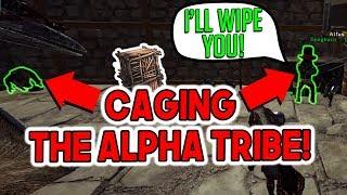 WE CAGED THE ALPHA TRIBE... | Official PvP Small Tribes - ARK Survival Evolved