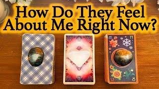 WHAT DOES HE/SHE THINK AND FEEL ABOUT ME RIGHT NOW?| Pick A Card | Love Tarot Reading (Timeless)