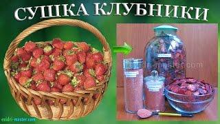 Cушка клубники в сушилке Ezidri