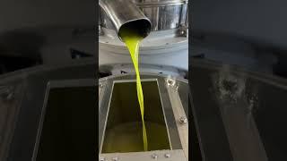 Tuscany’s olive oil is liquid gold! #tuscany #visittuscany #italy #oliveoil