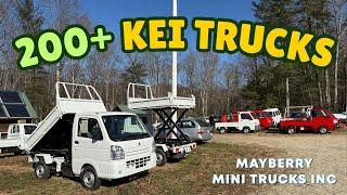 Largest Kei Truck Dealership In America "Mayberry Mini Trucks"