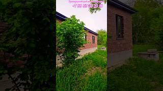Дом с газом в Краснодарском крае рядом с центром станицы, 90м² #недвижимость #купитьдом #азовская