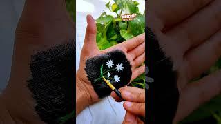 Amazing Flower Drawing  #soulchitra