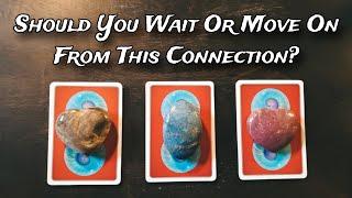  Should You Wait Or Move On?  Pick A Card Love Reading  Is This Connection Worth The Wait?