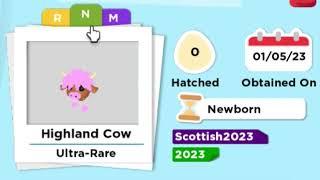 Highland Cow Neon & Mega Neon in Adopt me