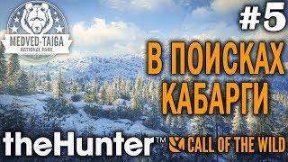 theHunter call of the wild #5  - В Поисках Кабарги - Оружие: Винтовка, Арбалет - Трофеи: Лось