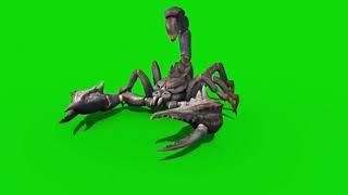 Scorpion green screen VFX