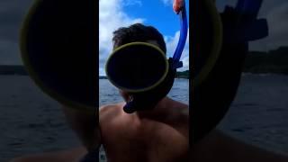 Полное видео с ПОДВОДНЫМ МИРОМ на канале