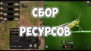 Сбор ресурсов The Ants