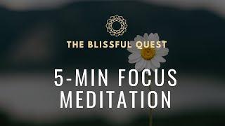 5-Minute Guided Meditation for Focus | Enhance Concentration and Clarity