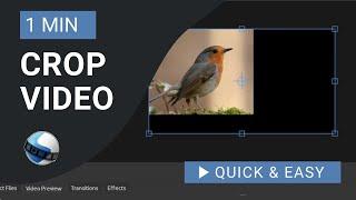 OpenShot Video Editor Tutorial: How to Crop Video in OpenShot