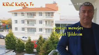 KRaL KuŞÇu Tv TATİL'DE TAKLACI GÜVERCİN OYUN KUŞU ANKARA