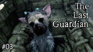 I Did NOT Expect That | The Last Guardian #03