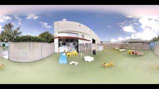 Doggie daycare at Dogstown University in Deerfield Beach Florida