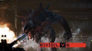 Evolve All Night Long